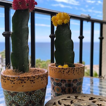 Apartamento Tropicana 1° Linea Almuñécar Eksteriør billede