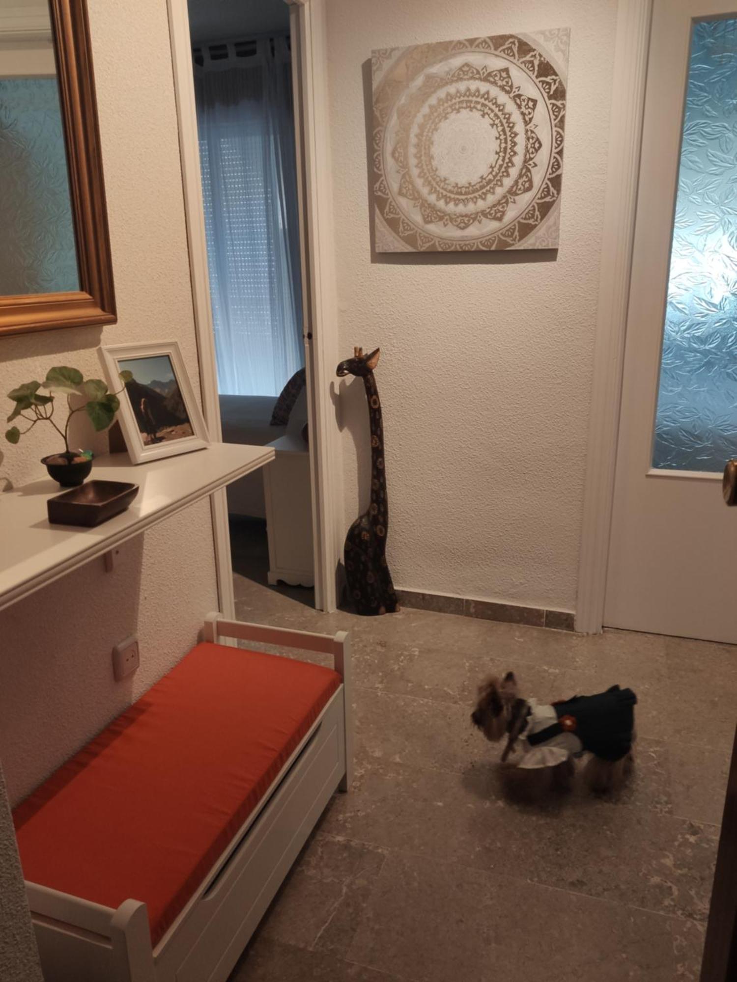 Apartamento Tropicana 1° Linea Almuñécar Eksteriør billede