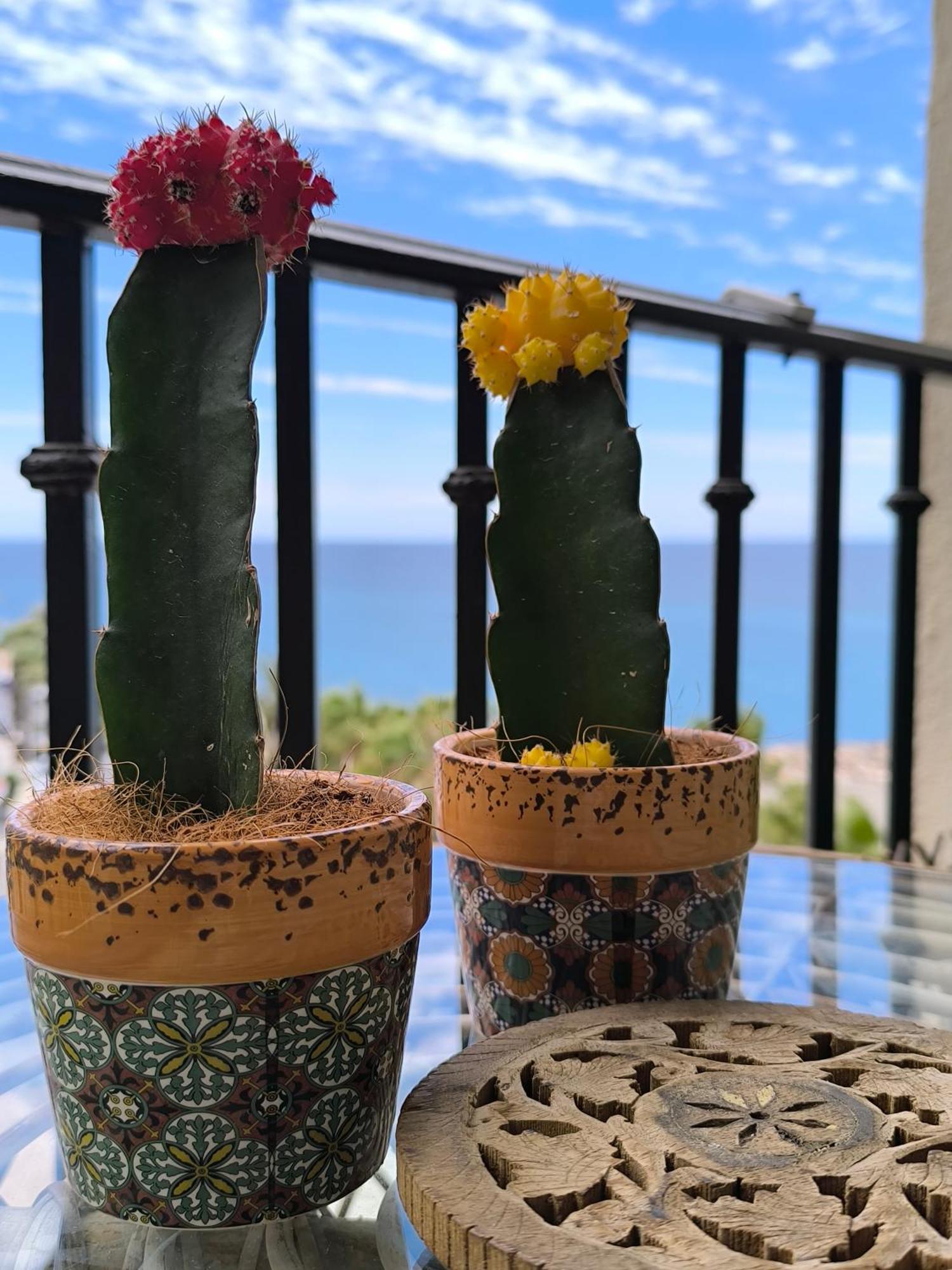 Apartamento Tropicana 1° Linea Almuñécar Eksteriør billede
