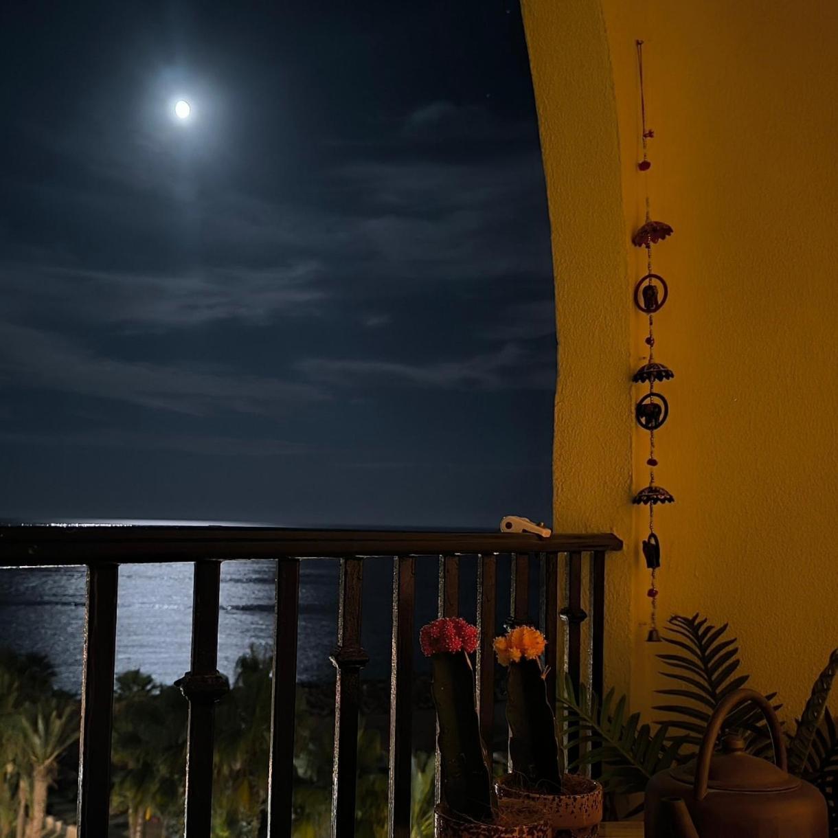 Apartamento Tropicana 1° Linea Almuñécar Eksteriør billede